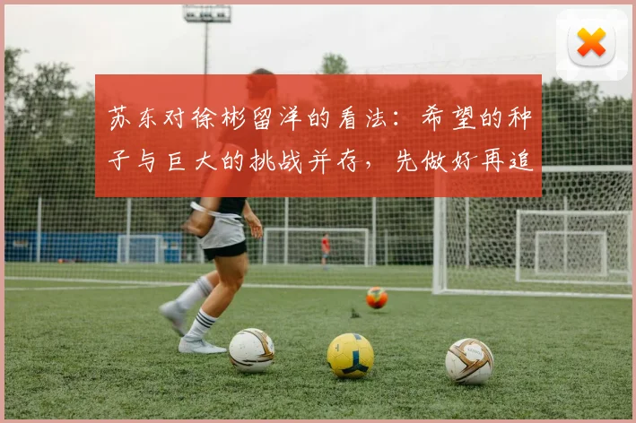 苏东对徐彬留洋的看法：希望的种子与巨大的挑战并存，先做好再追求完美