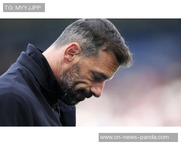 范尼重返足球舞台49岁担任荷兰队助教辅佐科曼征战世界杯